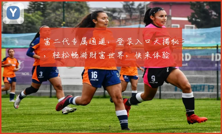 富二代专属通道，登录入口大揭秘，轻松畅游财富世界，快来体验