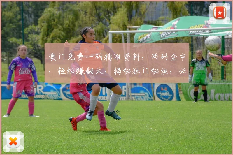 澳门免费一码精准资料，两码全中，轻松赚翻天，揭秘独门秘诀，必看